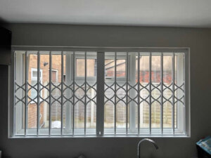 X Lattice gate internal door and window security grills